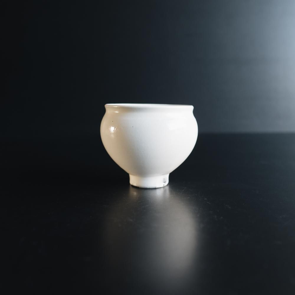 鈴木環 ピジョンカップ 大/L 2個セット 鈴木環 KAN SUZUKI ピジョンカップ （中） | Pay ID