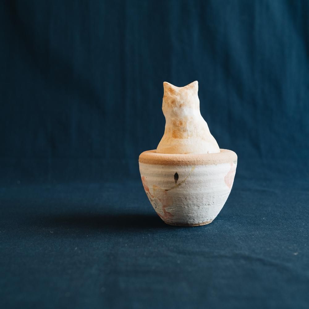 【2021年7月】  acnepotterystudio (カノプス壺　猫)  (A36)