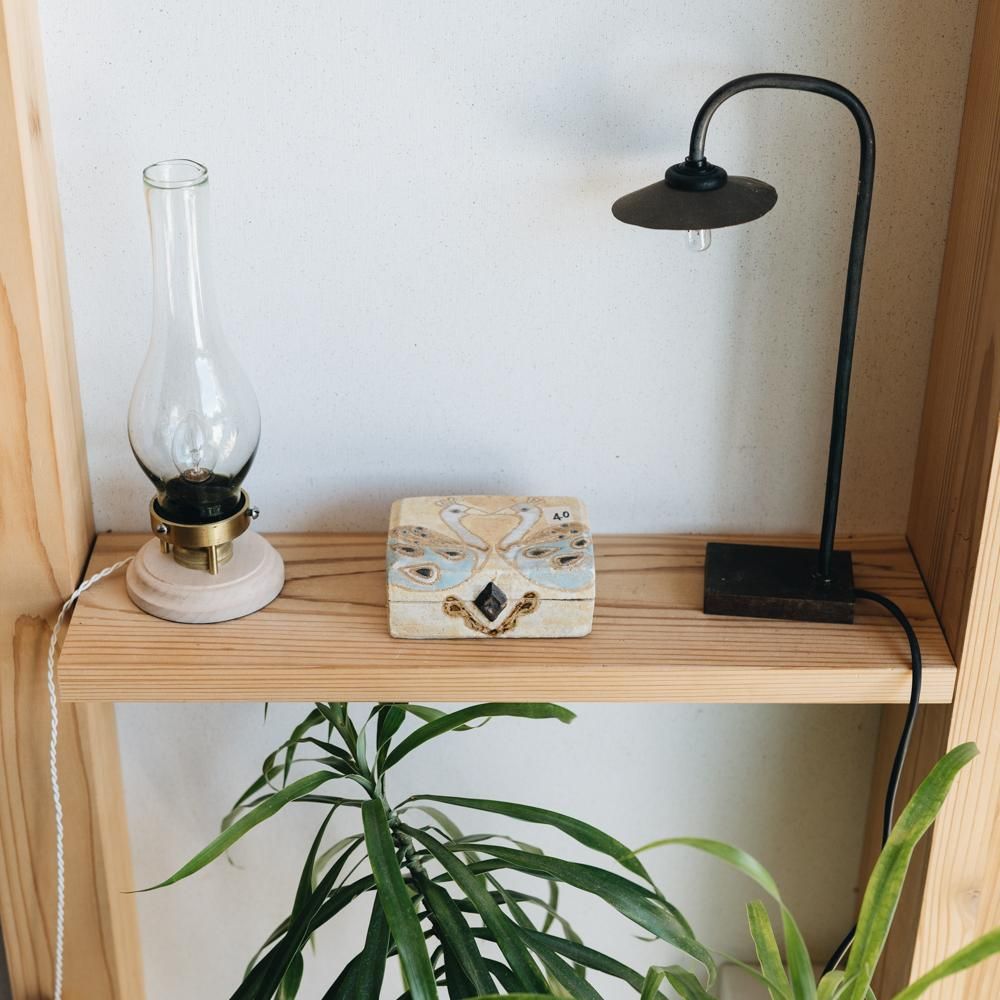 【2021年7月】  acnepotterystudio (猫の絵皿（白鳥の蓋物（中）)  (A40)