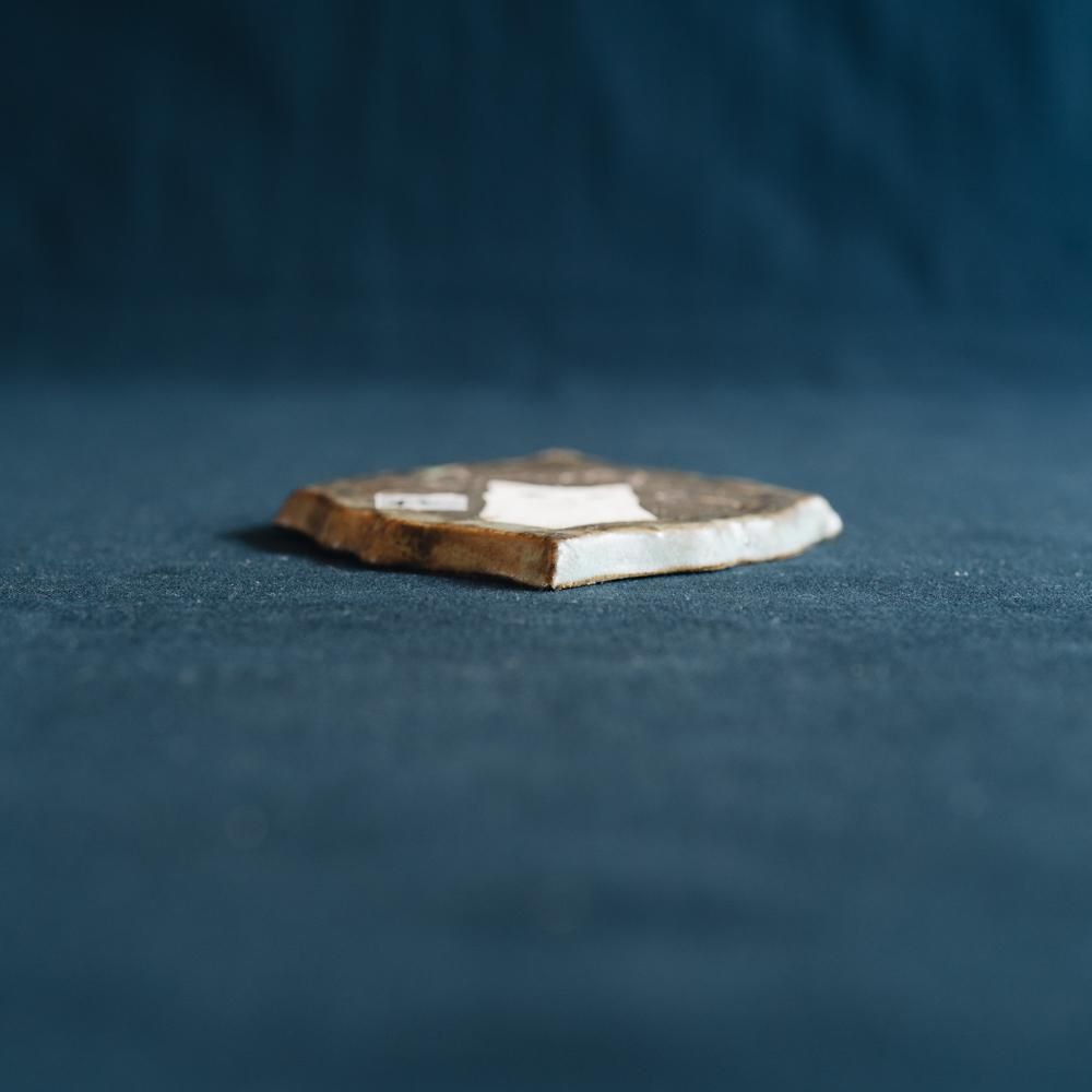 【2021年7月】  acnepotterystudio (猫の絵皿（白猫の壁掛け)  (A42)