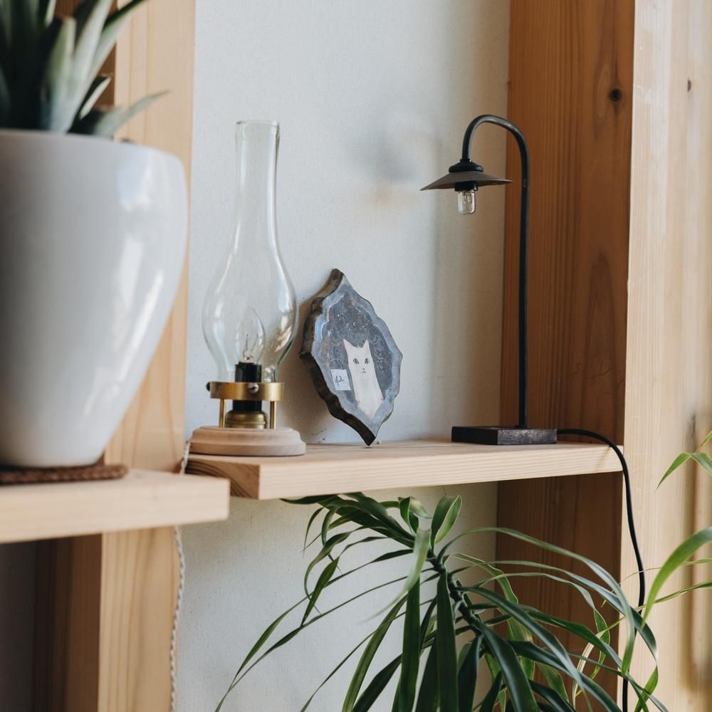 【2021年7月】  acnepotterystudio (猫の絵皿（白猫の壁掛け)  (A42)