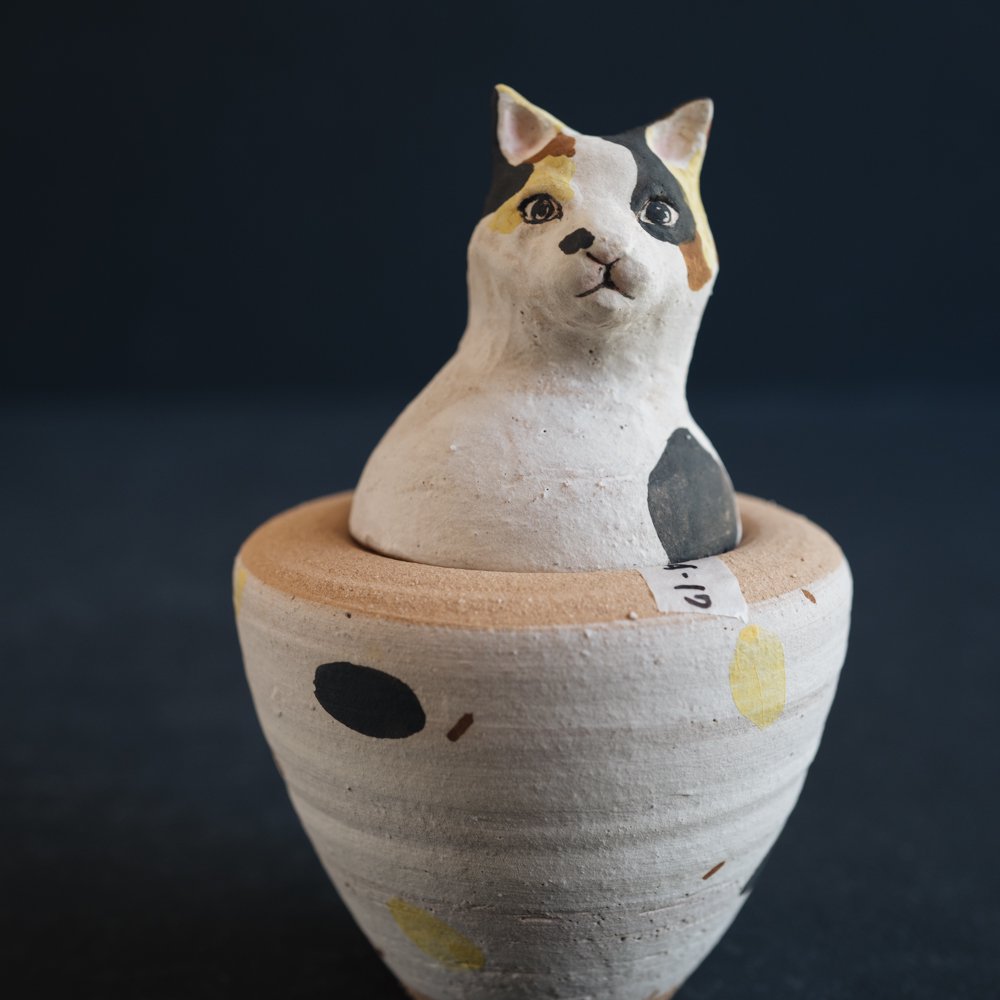 (2021年12月)  acnepotterystudio (猫のカノプス壺)  (A17)