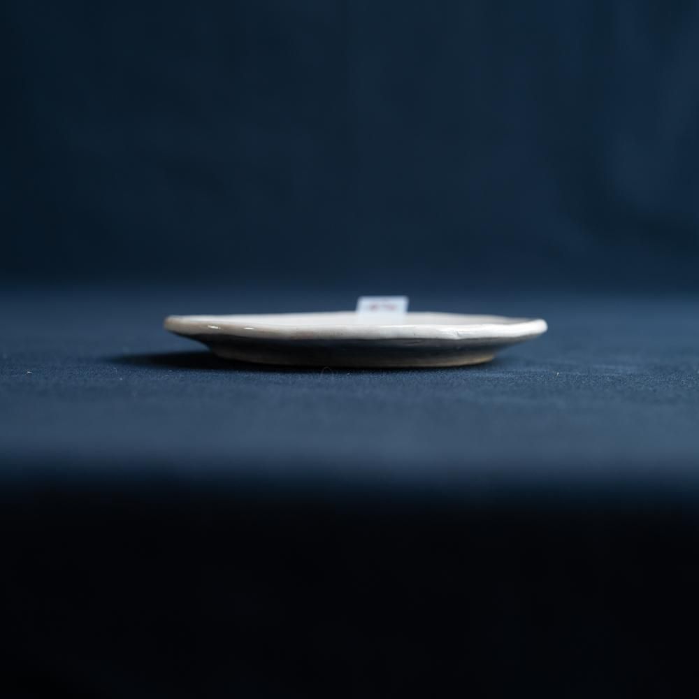 (2022年2月web展)   宮崎孝彦  丸豆皿　タイガー　  M9-3
