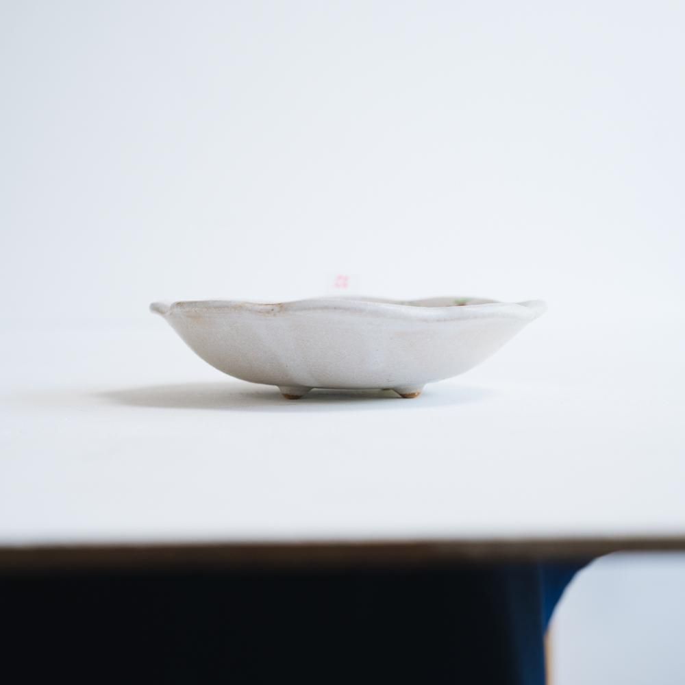 (2022年4月 web展)   三浦愛子   ミックスベリー鉢（中）　   み25