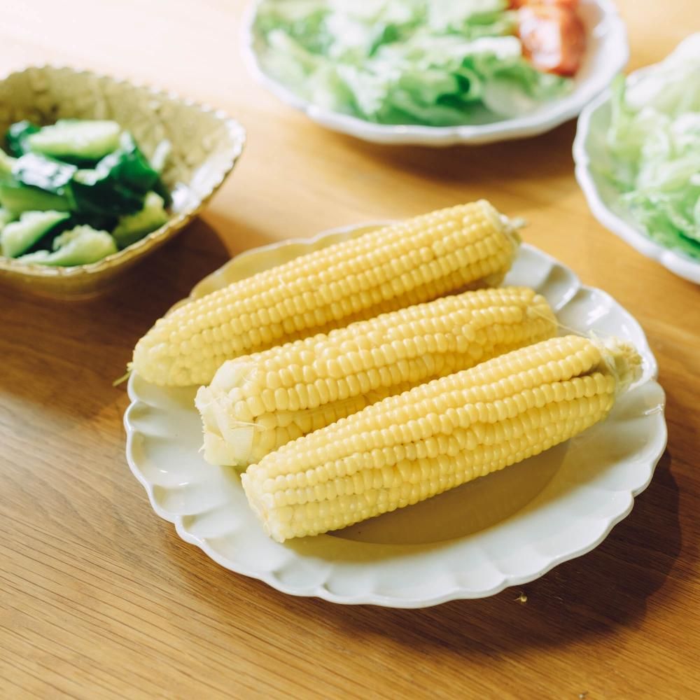 (2025年4月) かもめ製作所 レリーフ皿 ちし3