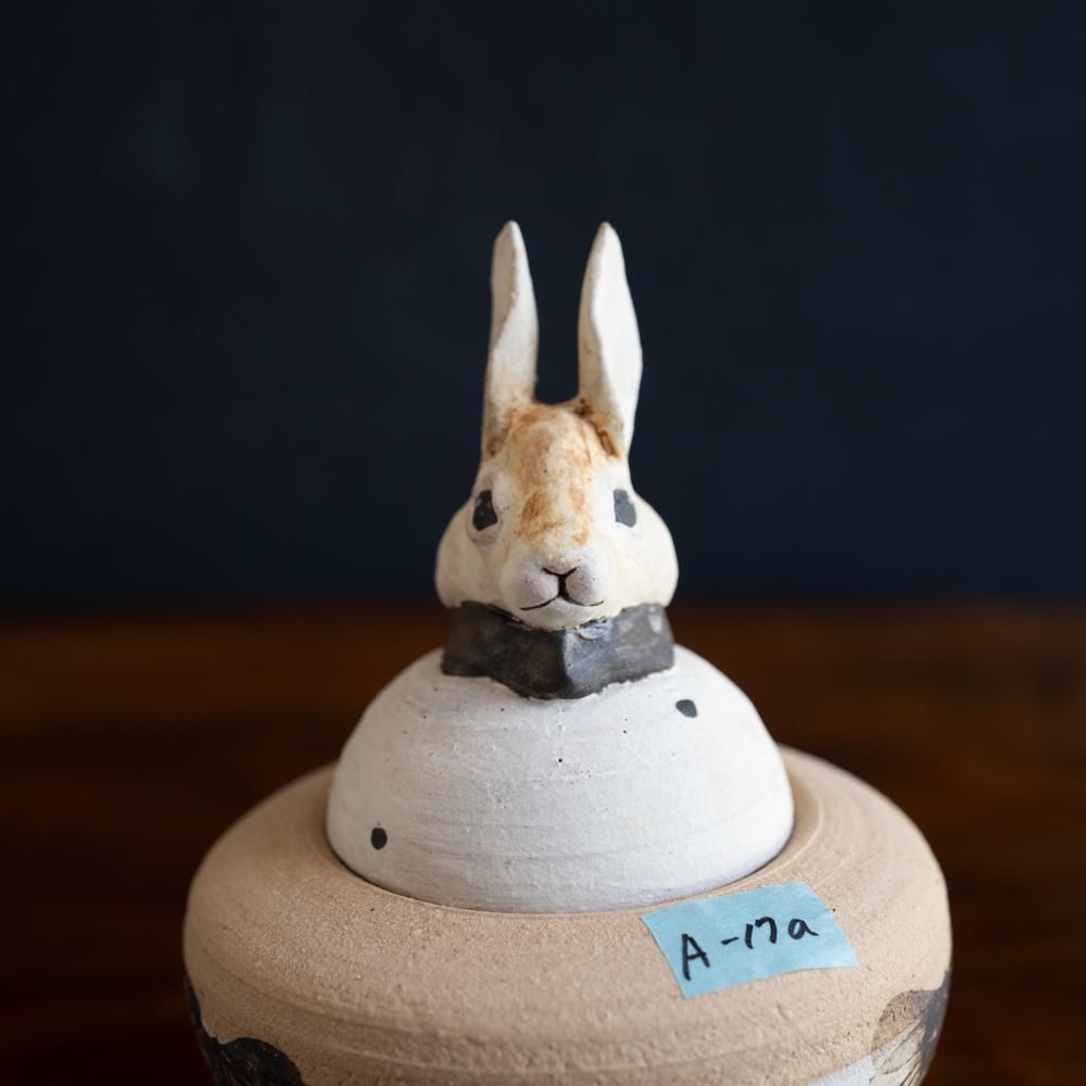 (2022年12月)  acnepotterystudio  うさぎのカノプス壺　　A17a