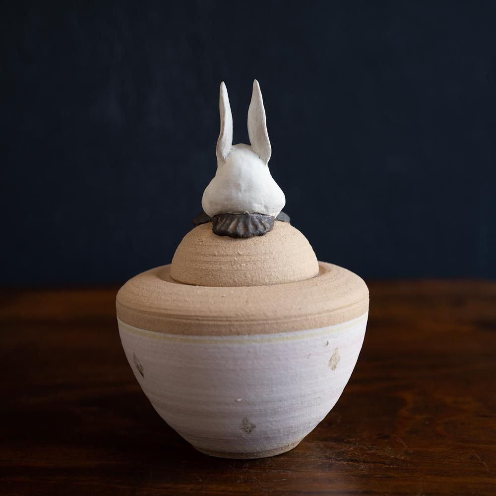 (2022年12月)  acnepotterystudio  うさぎのカノプス壺　　A17c