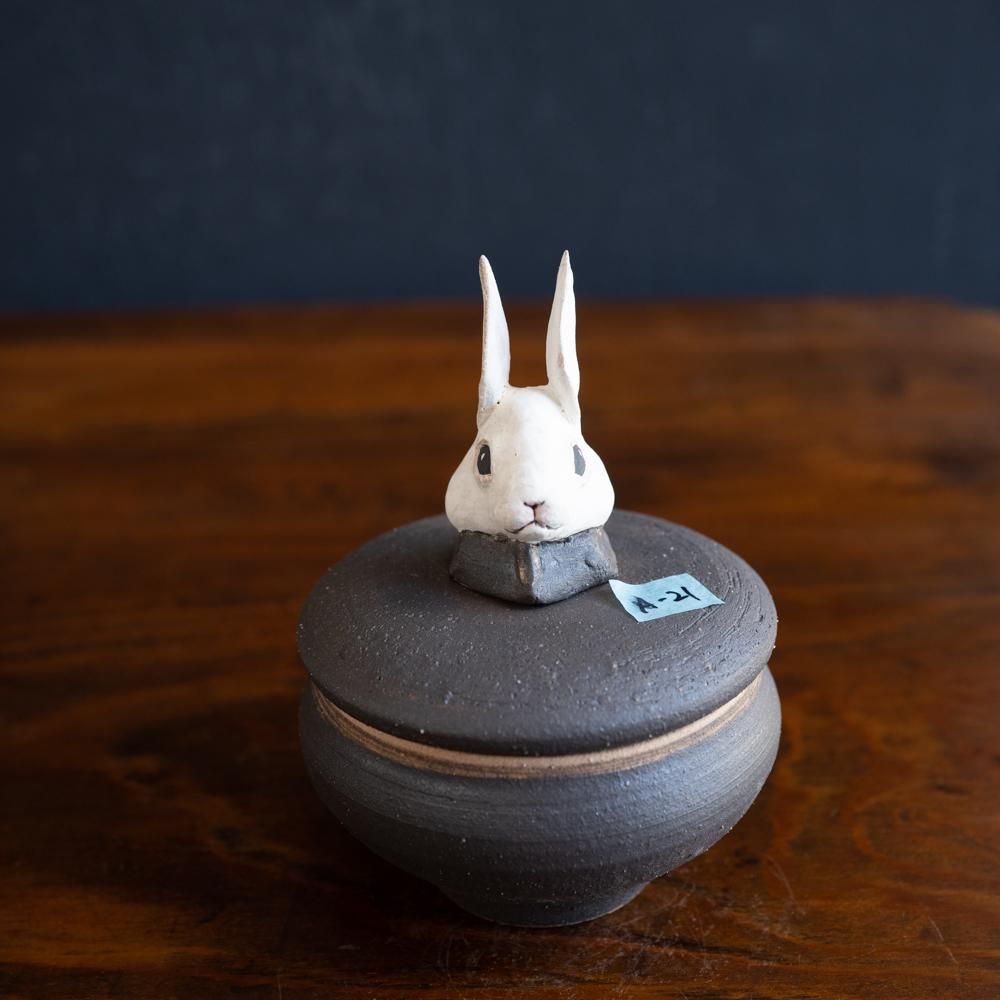 (2022年12月)  acnepotterystudio  うさぎの頭のついた塩壺　　A21