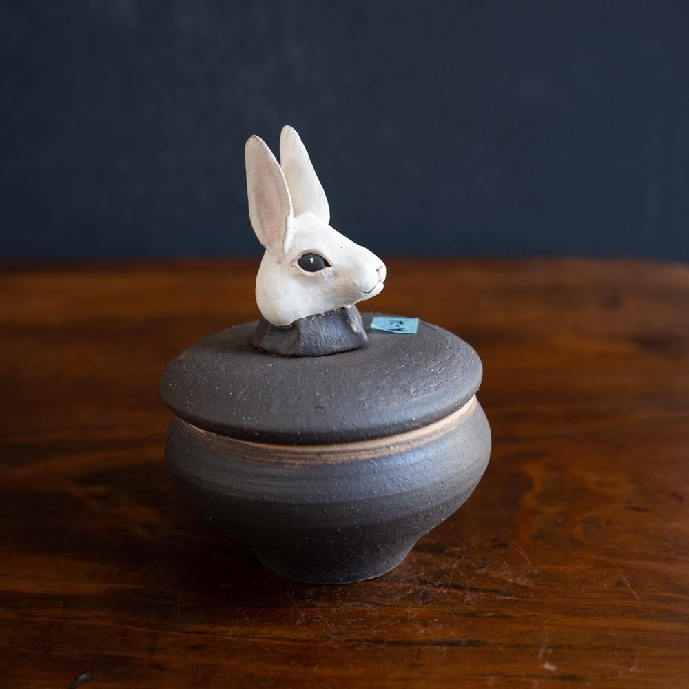 (2022年12月)  acnepotterystudio  うさぎの頭のついた塩壺　　A21