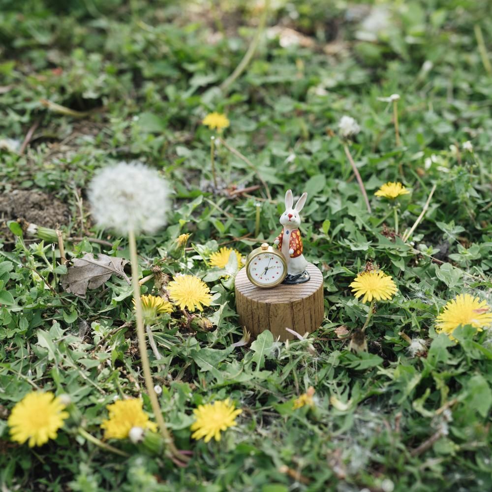 (予約受付) atelier coin ウサギの置時計 （cecil）11<img class='new_mark_img2' src='https://img.shop-pro.jp/img/new/icons52.gif' style='border:none;display:inline;margin:0px;padding:0px;width:auto;' />