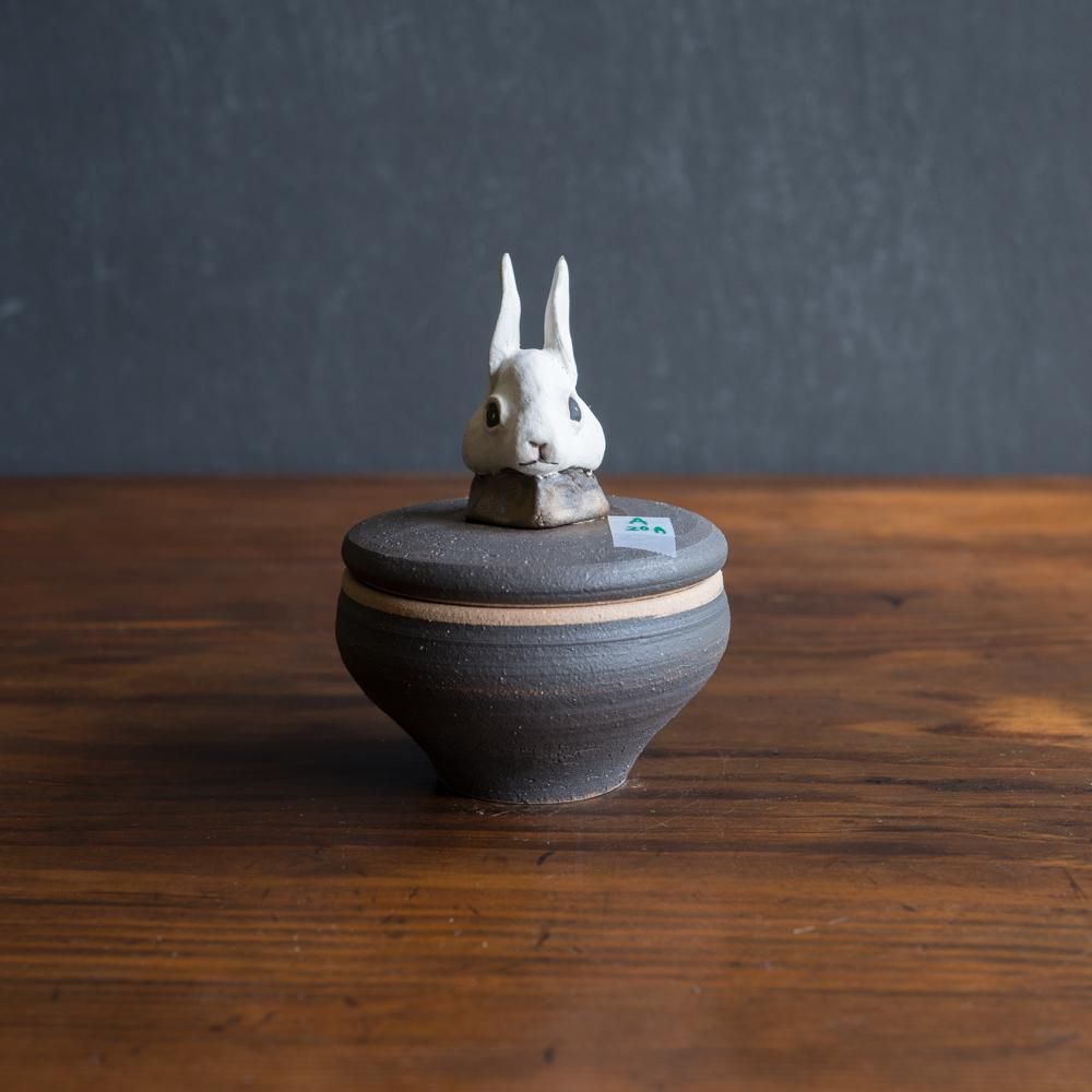 (2023年7月)  acnepotterystudio 動物の塩壺（うさぎ）  　A20A