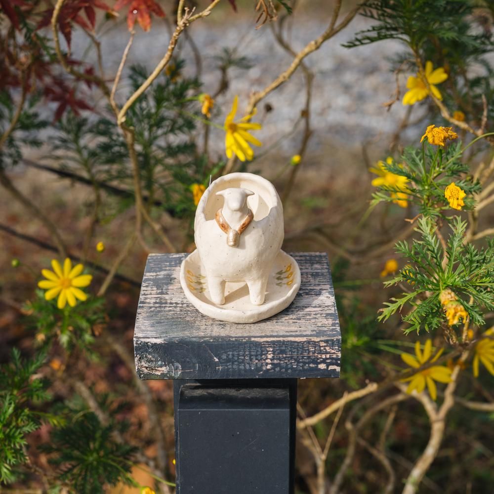 (2023年12月) ねこめ 陶器の植木鉢と受け皿のセット　ね20-1