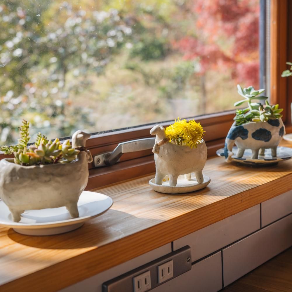 (2023年12月) ねこめ 陶器の植木鉢と受け皿のセット　ね20-2