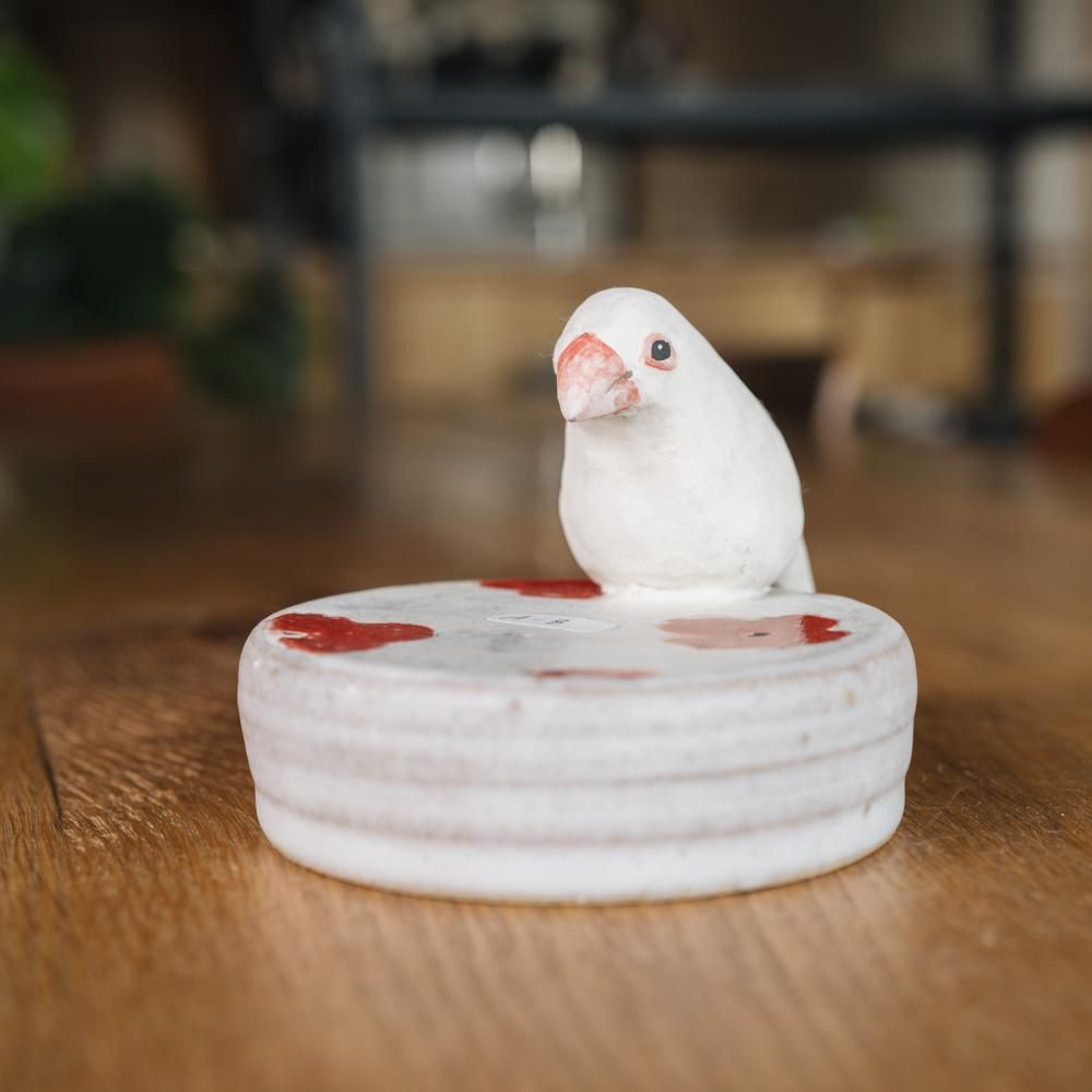 (2023年12月)  acnepotterystudio 文鳥高台皿 　A8