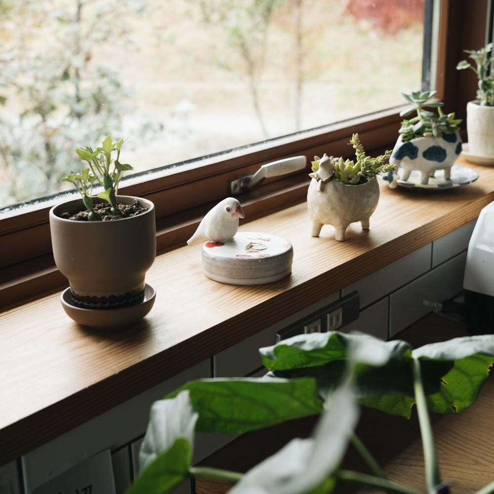 作家さんの器　16点set+おまけ4点 作家さんの器 16点set+おまけ4点 CRAFT BORO×BORO｜ころ