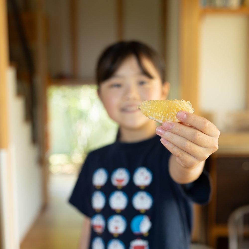 【訳ありお得価格】（大きめサイズ）河北さん家の河内晩柑【8個入り】（順次発送・別途送料がかかります）<img class='new_mark_img2' src='https://img.shop-pro.jp/img/new/icons52.gif' style='border:none;display:inline;margin:0px;padding:0px;width:auto;' />