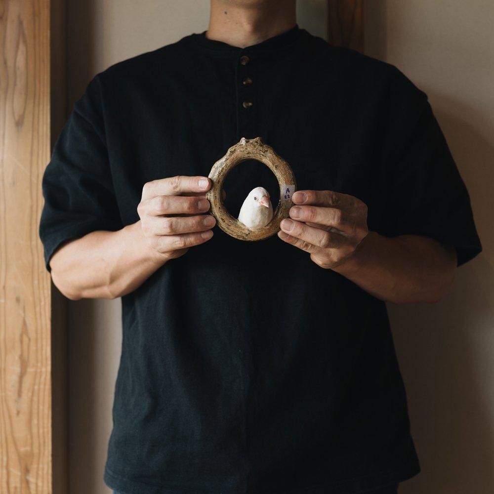 （2024年7月）【1点もの】acnepotterystudio 文鳥の壁かけ花器　A22