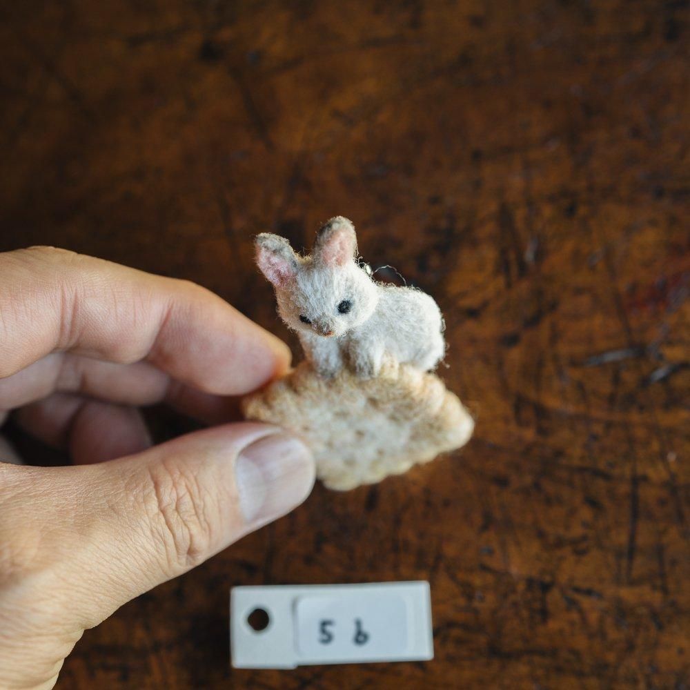 (2024年11月web展) RORO　動物とビスケット　R5b