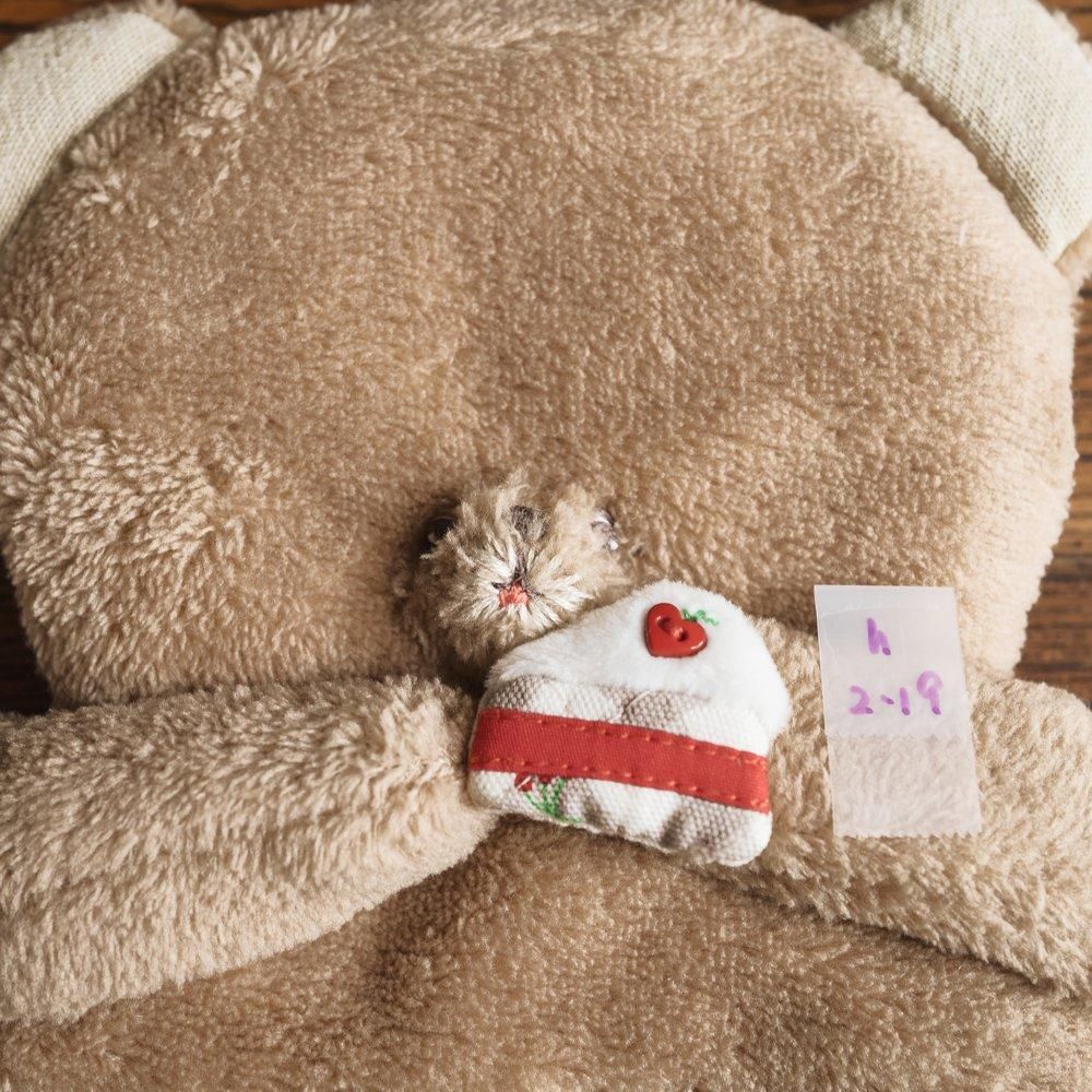 （2024年11月） happybug　もぐもぐポーチ　h2-19