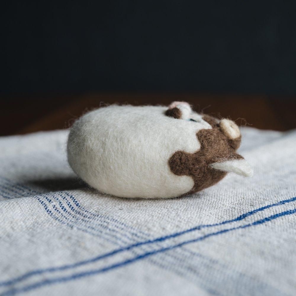 （2025年2月）【1点もの 限定 チョコレートフォンデュ】wooly morly　wooly soap　2