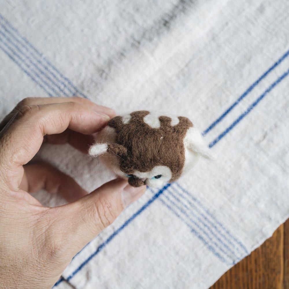 （2025年2月）【1点もの 限定 チョコレートフォンデュ】wooly morly　wooly soap　3