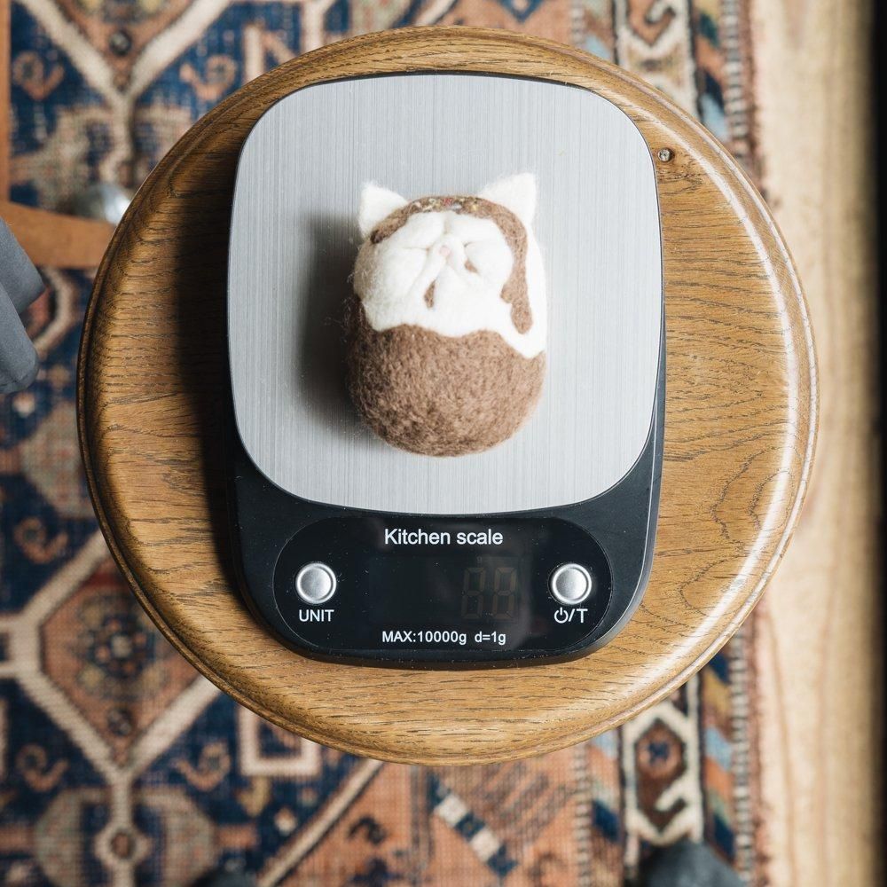 2025ǯ2ˡ1  祳졼ȥեǥwooly morlywooly soap4