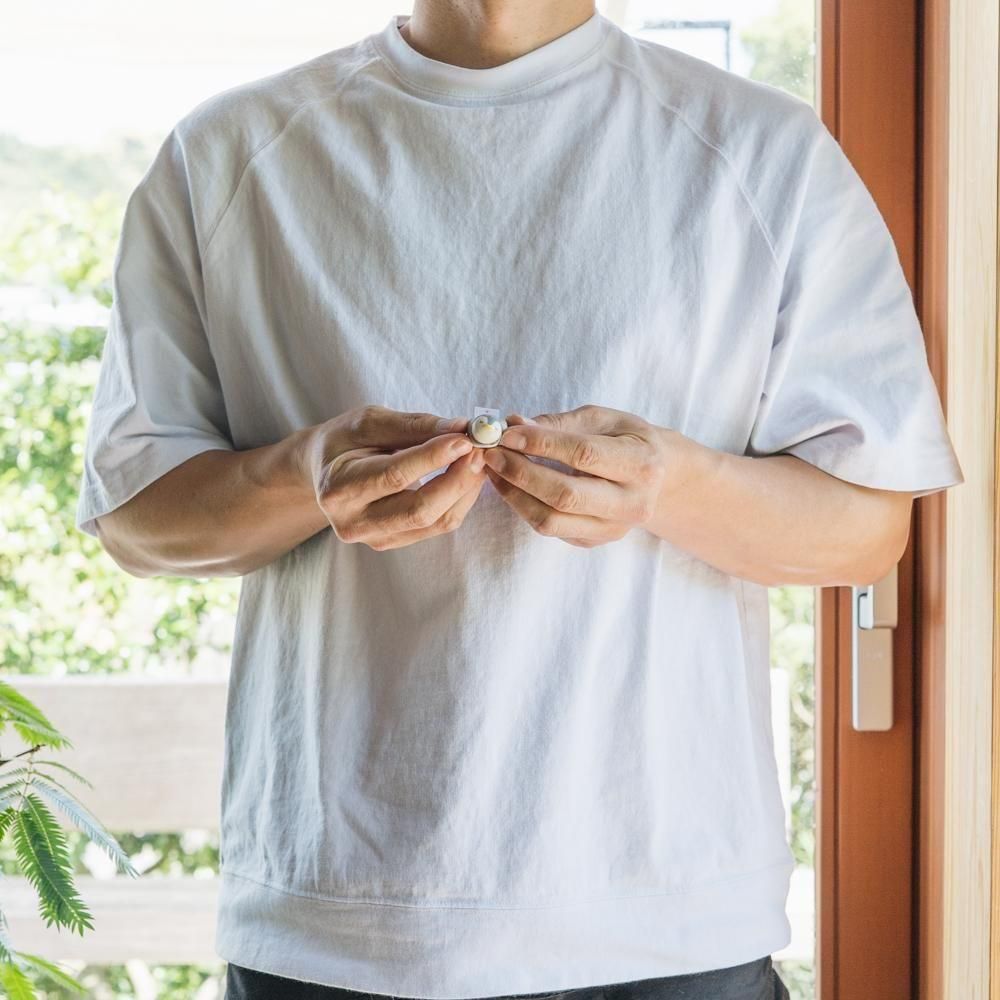 （2025年4月）   futabacco　ペンギン箸置き　f7