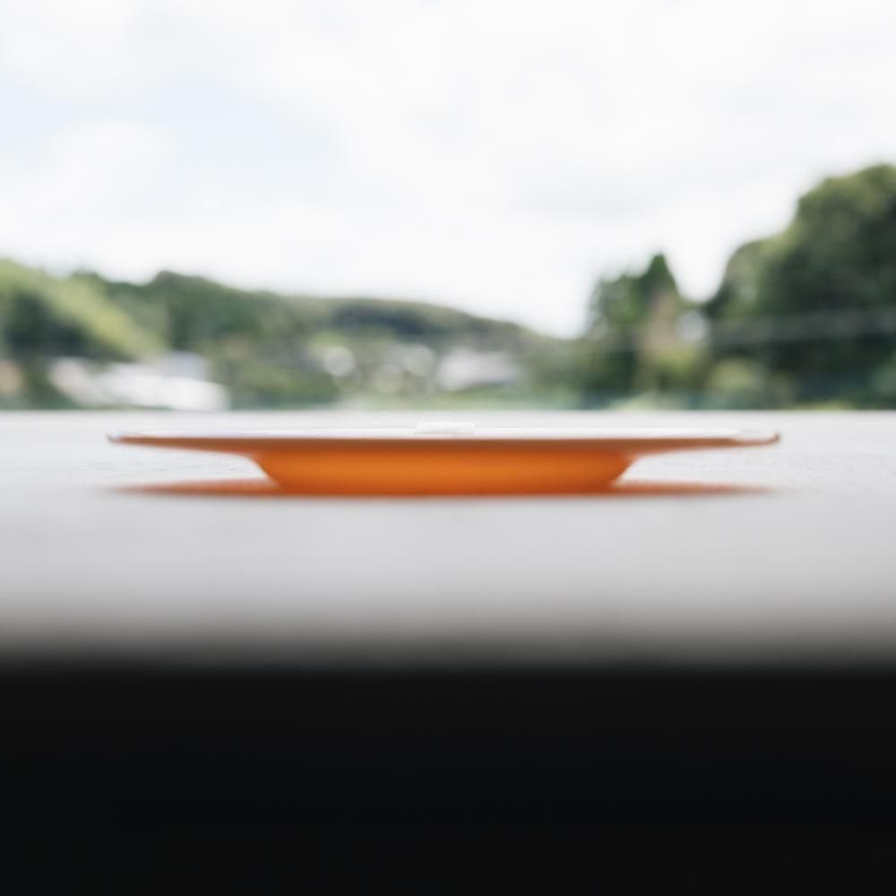 （2025年7月）天気雨　絵付けリム皿　て3-2