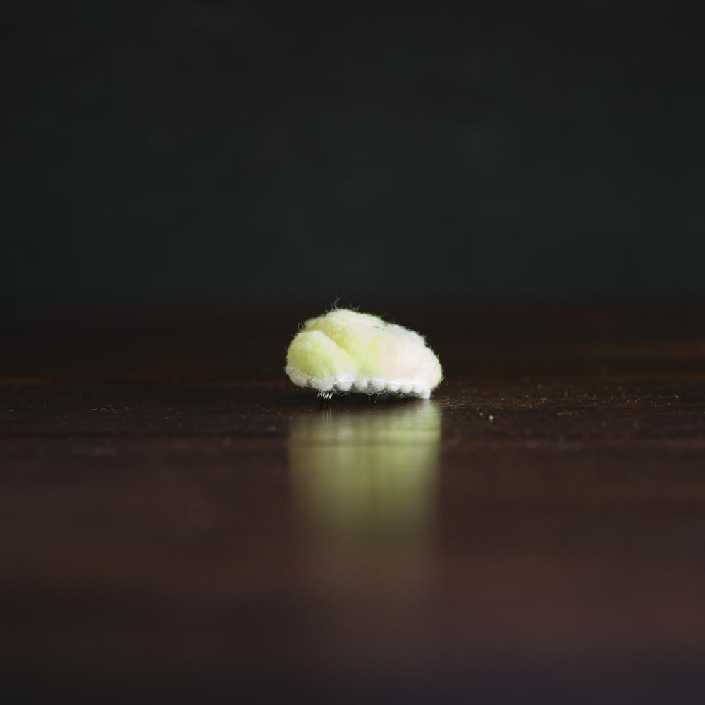 2025ǯ7ˡ1ΡMUSH FACTORYդե֥m4-7