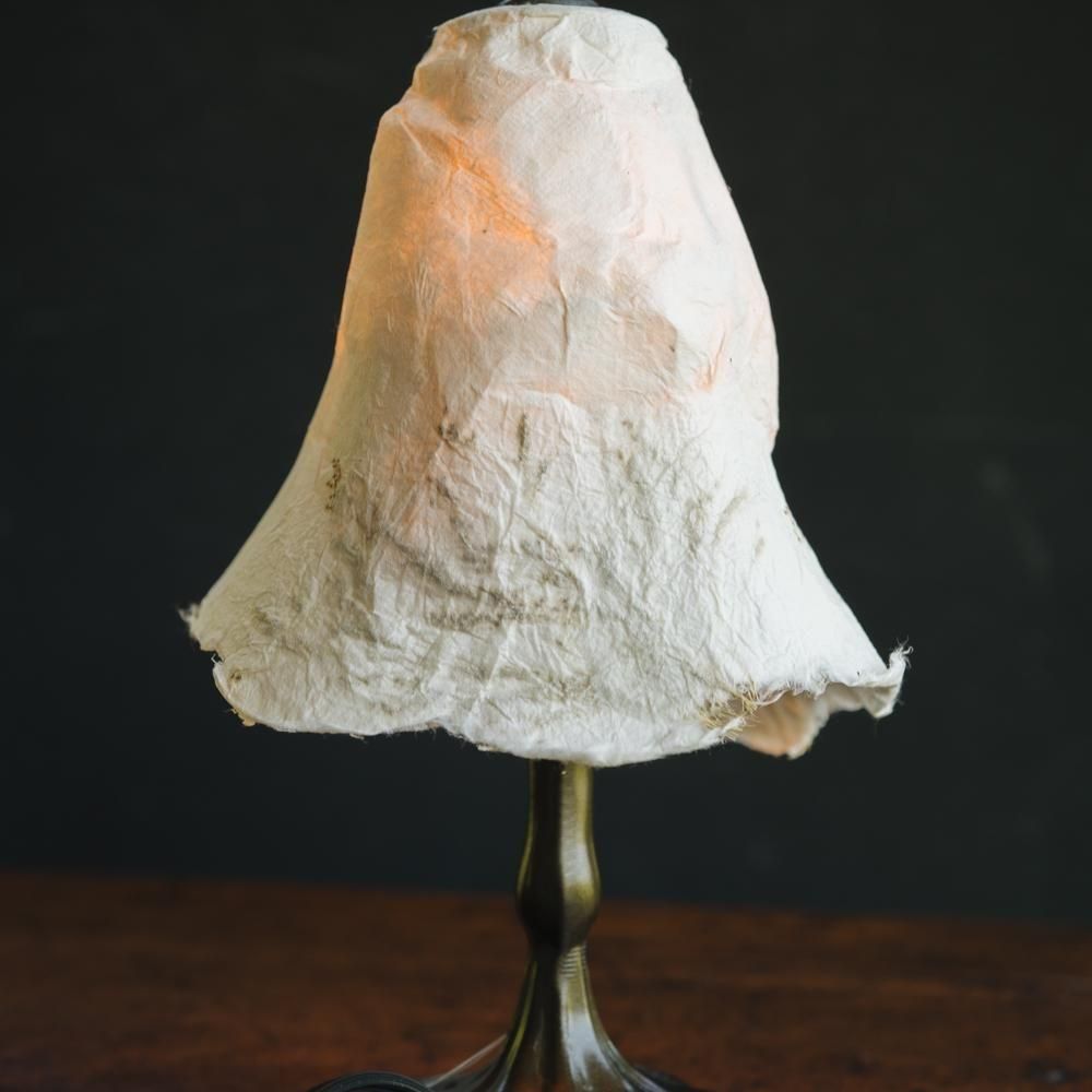 2025ǯ7ˡ1Ρhanahaku'u E12h2