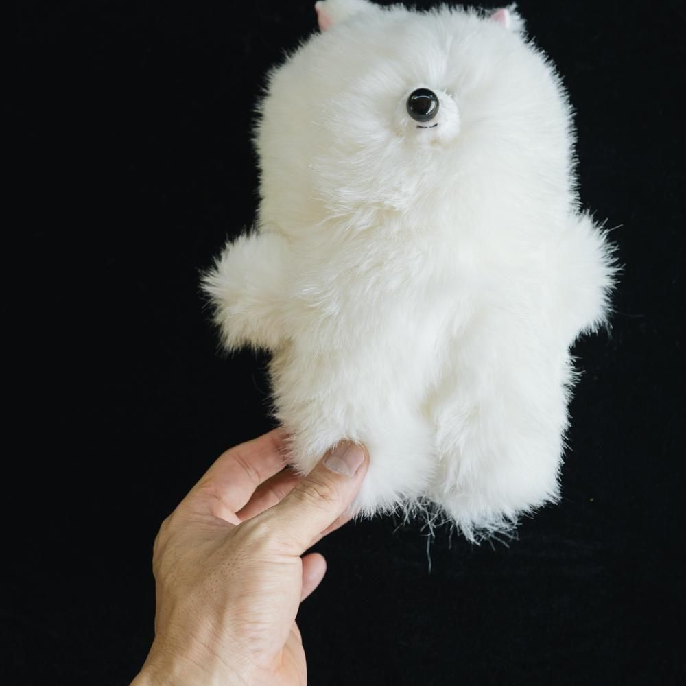 2025ǯ8ˡ1Ρۥå   ̤ߡʥݥˡ8