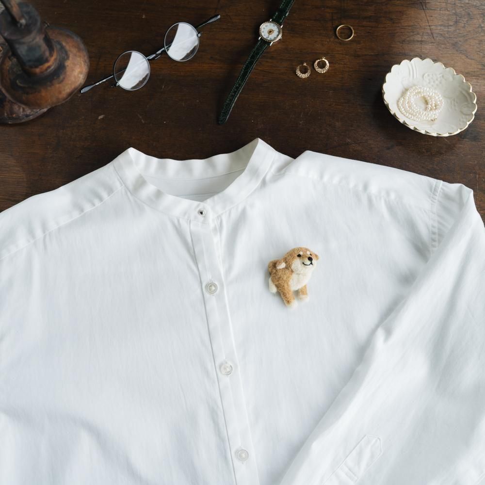 2025ǯ9ˡ1ΡۥХ̥ޥ륷kuuu֥A5