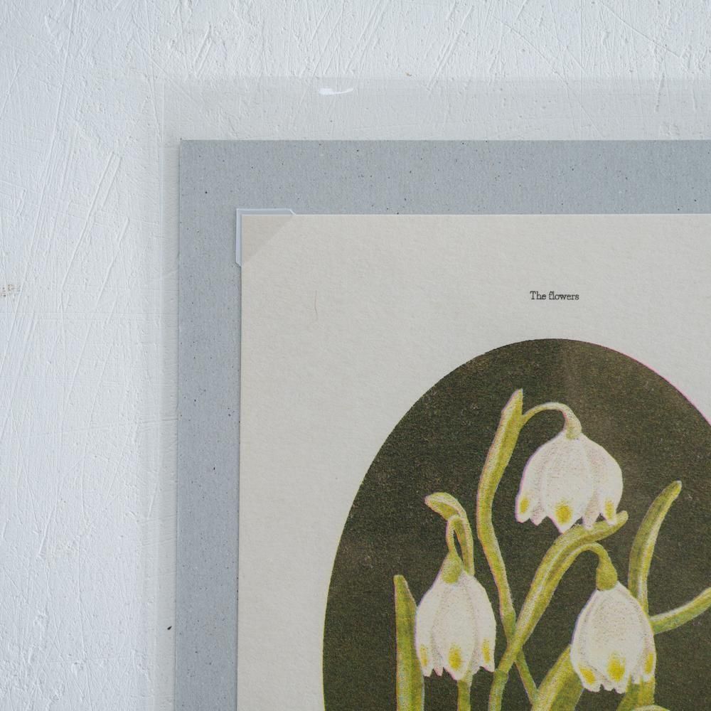 2025ǯ9dana wadaharunarisograph poster snowflaked17