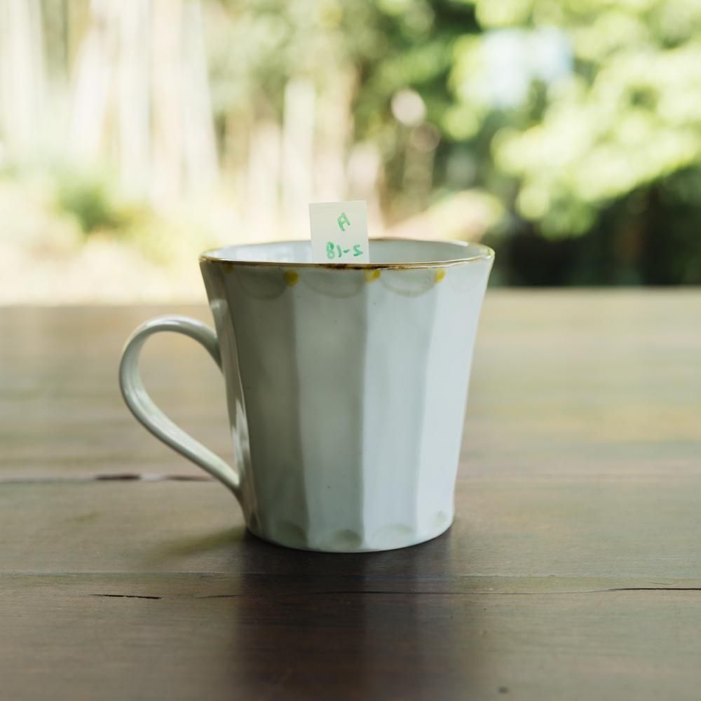 2025ǯ9ˡ1Ρ TATA pottery studioޥåס2-18