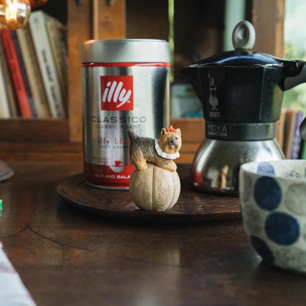 2025ǯ9ˡ1Ρmorimoccou̥סm15