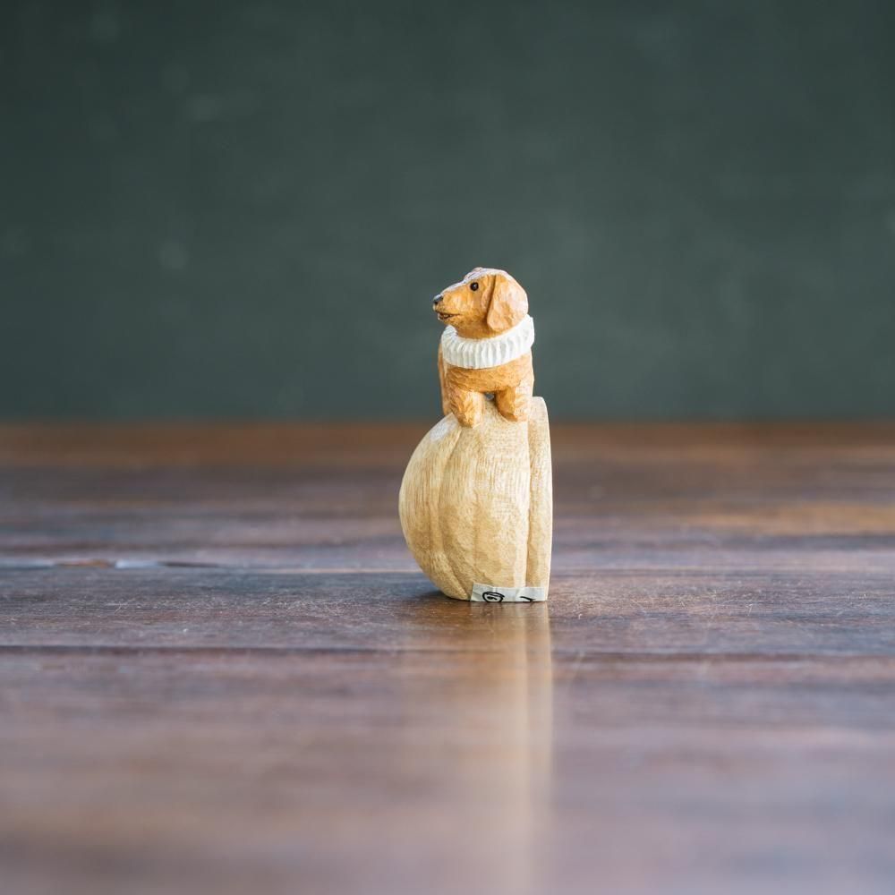 2025ǯ9ˡ1Ρmorimoccou̥סm16