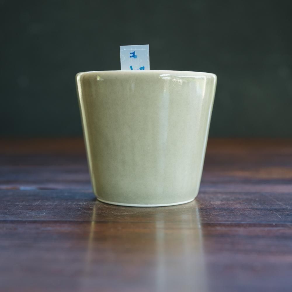 2025ǯ10ˡ1Ρۤ褮ߤФ礳ͤȥѥ󡡤7-6