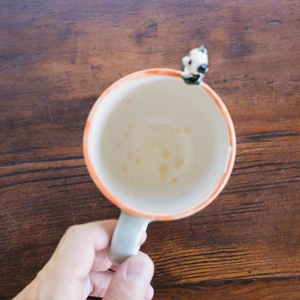 ¤2025ǯ10ˡ1Ρcyilabo bigmugե 5-2