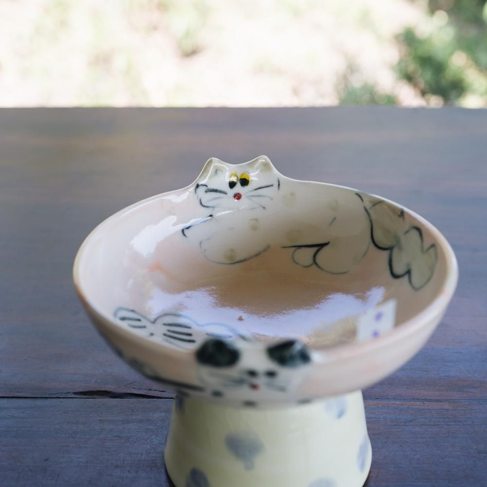 ¤2025ǯ10ˡ1Ρcyilabo  8