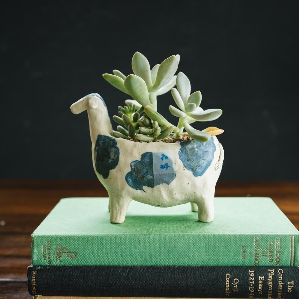 2025ǯ10ˡ1Ρۤͤ ƫοȭ24