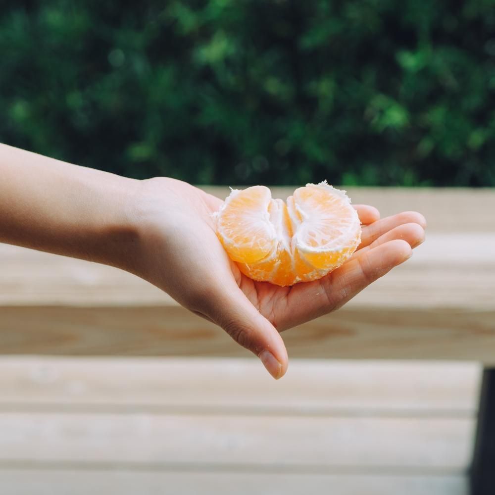 ڢ濫̸ 2.5kgڢޤ<img class='new_mark_img2' src='https://img.shop-pro.jp/img/new/icons1.gif' style='border:none;display:inline;margin:0px;padding:0px;width:auto;' />