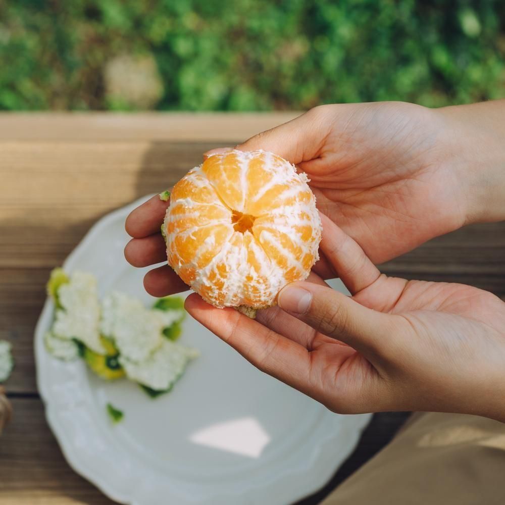 ڢ濫̸ 2.5kgڢޤ<img class='new_mark_img2' src='https://img.shop-pro.jp/img/new/icons1.gif' style='border:none;display:inline;margin:0px;padding:0px;width:auto;' />