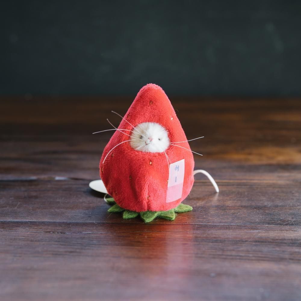 マウス　ぬいぐるみ　ガレット・デ・ロワ　三角ユウリ　おまけ付き 作家さんの器と暮らしにまつわる道具のお店｜イロドリ