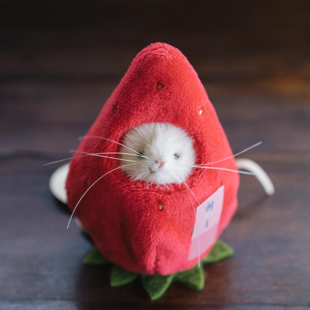 作家さんの置き物 作家さんの器と暮らしにまつわる道具のお店｜イロドリ｜オンラインストア