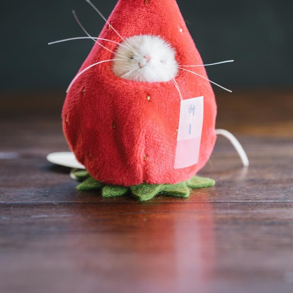 1ޤǡ2025ǯ11˻ѥ楦ꡡޥΤ̤ߡˡ1