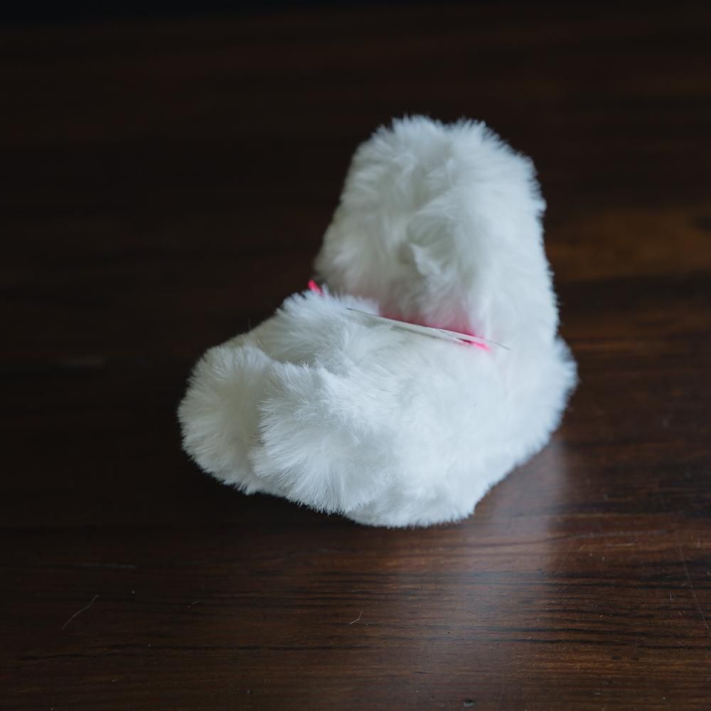 2025ǯ11ˡ1ΡPEPOTARO   ͤ٤꥿miniP3-3