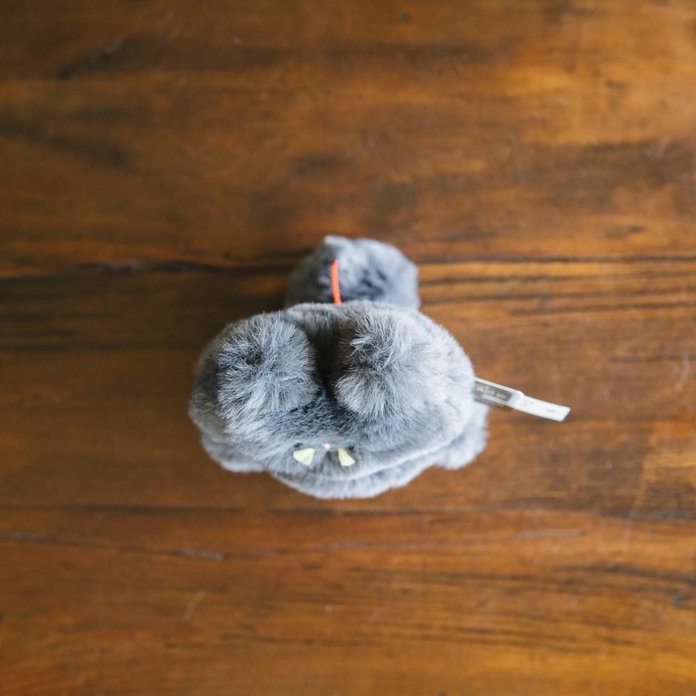 2025ǯ11ˡ1ΡPEPOTARO   ͤP5-2