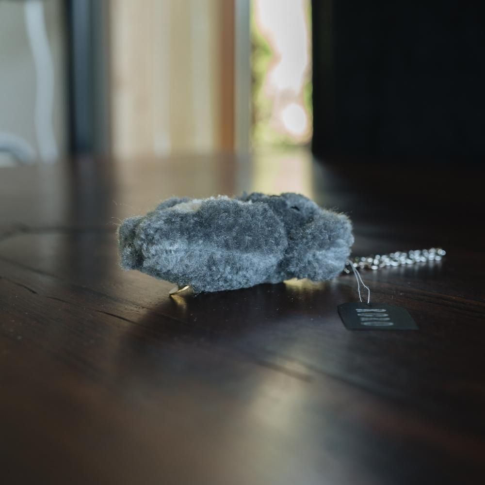 (2025ǯ11)1Ρ RORO⤳⤳Τ̤ߥ㡼ࡡR1c