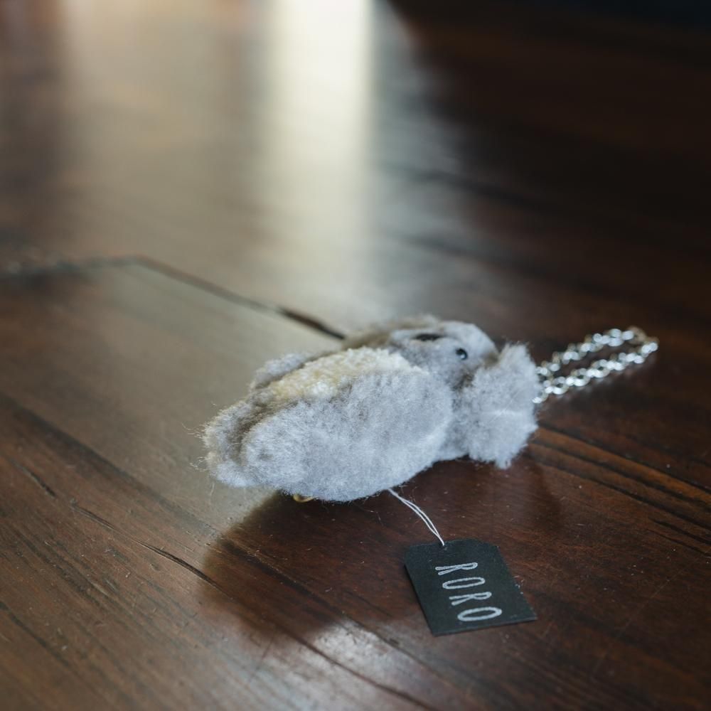 (2025ǯ11)1Ρ RORO⤳⤳Τ̤ߥ㡼ࡡR1f