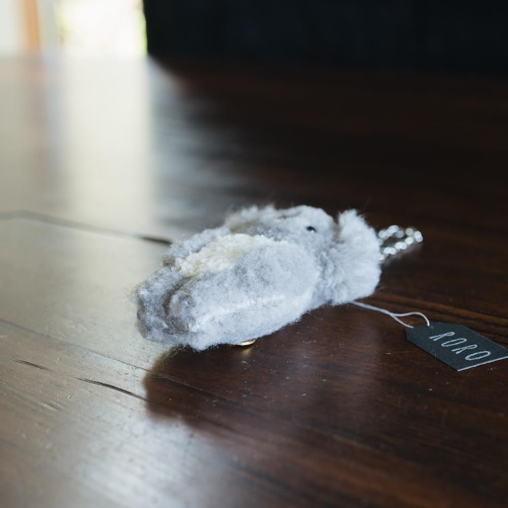 (2025ǯ11)1Ρ RORO⤳⤳Τ̤ߥ㡼ࡡR1h